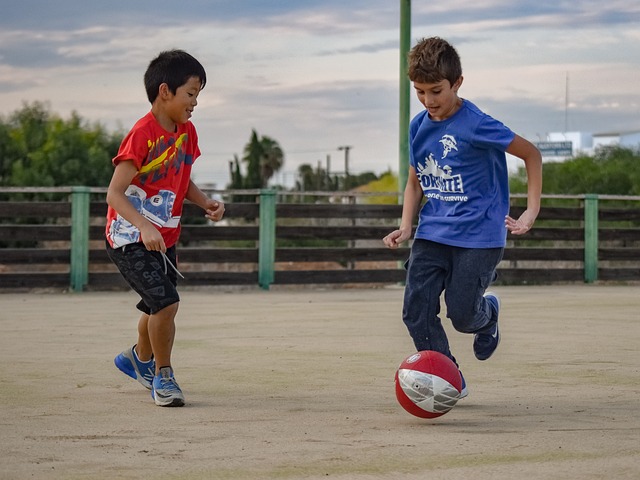 与刘诗雯的 与刘诗雯的