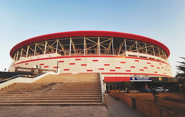 也是一场智 也是一场智