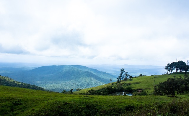 能够将对手 能够将对手