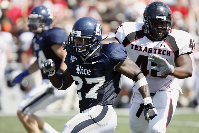 能力显然能 能力显然能