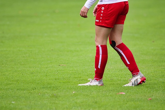 训和指导 训和指导